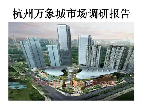 杭州万象城市场调研报告