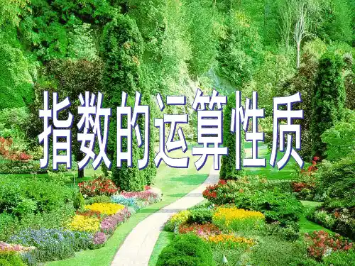 指数的运算性质