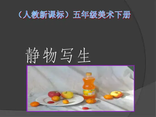 人教版美术五下《静物写生》