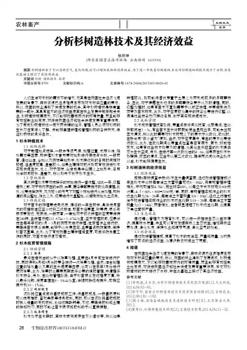 分析杉树造林技术及其经济效益