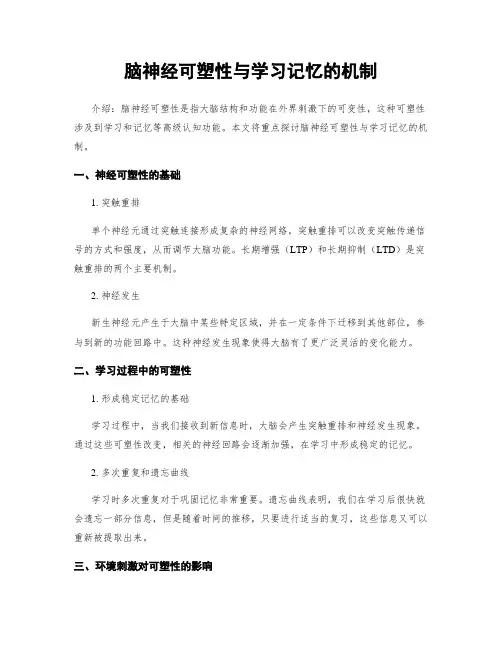 脑神经可塑性与学习记忆的机制