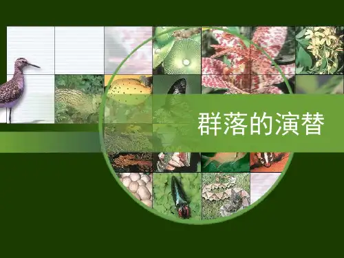 高中生物必修三课件-4.4群落的演替