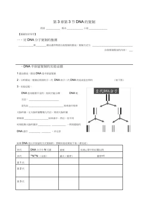 DNA的复制导学案