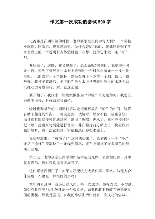 作文第一次成功的尝试500字