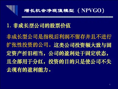公司理财精品课件(25)
