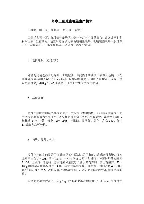 早春土豆地膜覆盖生产技术