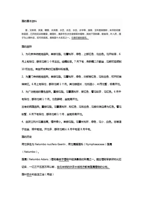 莲的基本资料