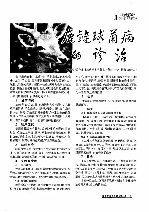 鹿链球菌病的诊治