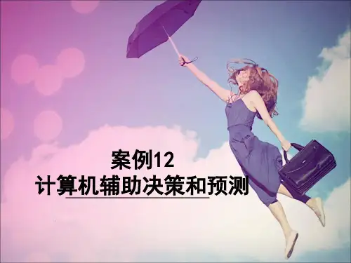 案例12计算机辅助决策和预测