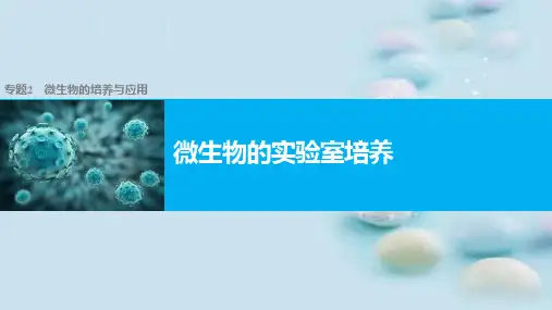 人教版高中生物选修一专题二课题1微生物的实验室培养 课件(共35张PPT)