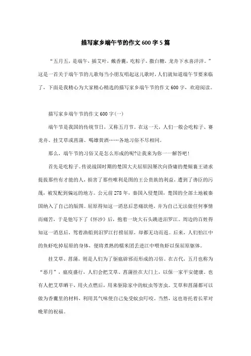 描写家乡端午节的作文600字5篇