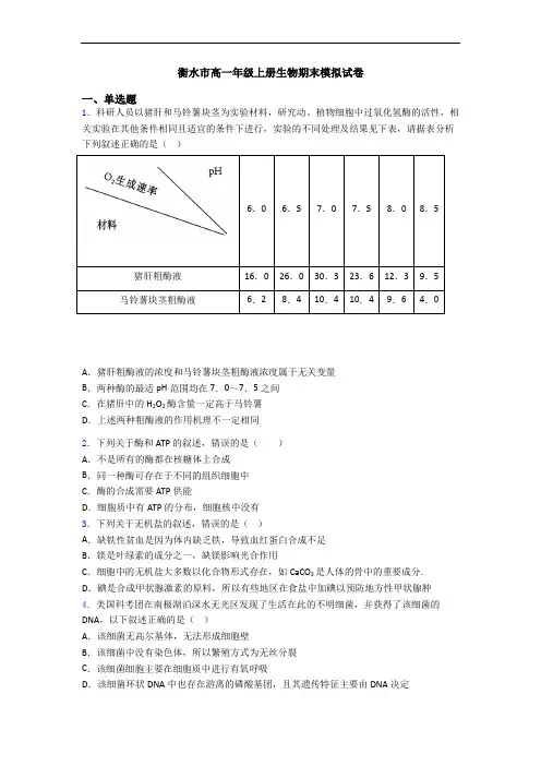 衡水市高一年级上册生物期末模拟试卷