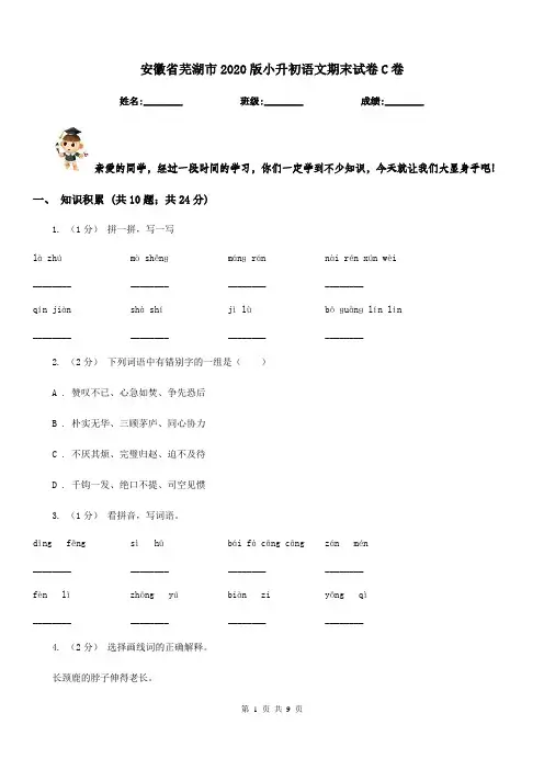 安徽省芜湖市2020版小升初语文期末试卷C卷