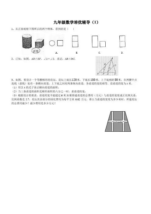初三数学培优辅导专题