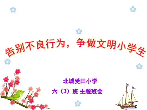 6.3美丽校园文明你我主题班会