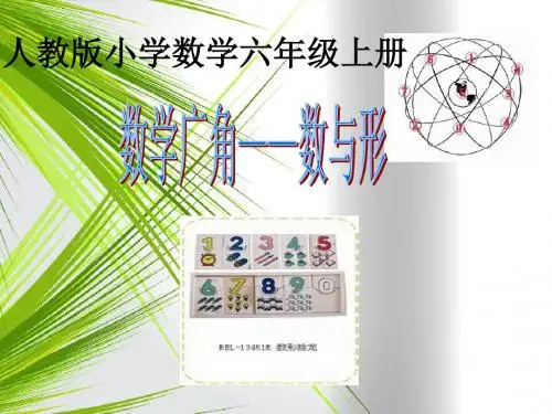 六级上册数与形PPT课件