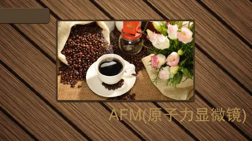 AFM原理及应用