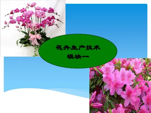 任务1.1花卉的基本知识