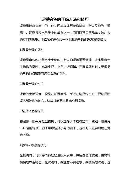 泥鳅钓鱼的正确方法和技巧