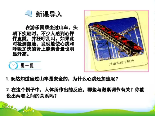 人教版高中生物必修3 第2章第3节神经调节与体液调节的关系(课件)(共17张PPT)