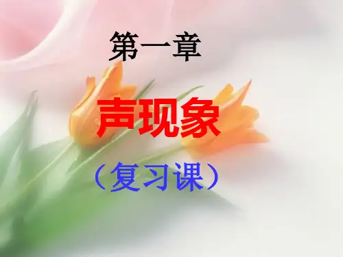 声现象2