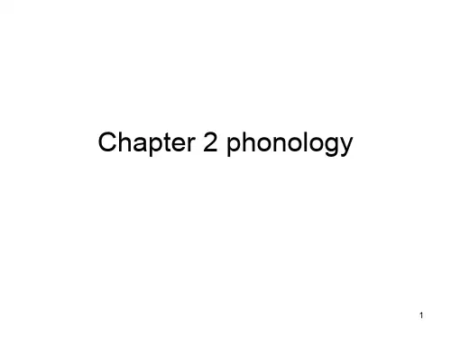 语言学phonology音韵学PPT课件