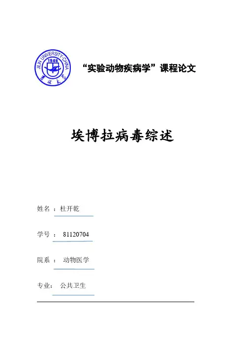 埃博拉病毒综述