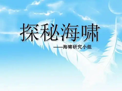 海啸ppt