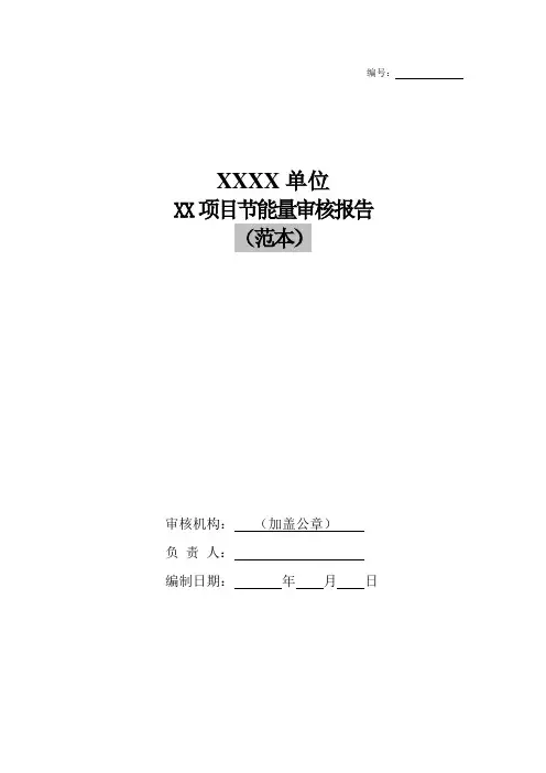 节能量审核报告范本
