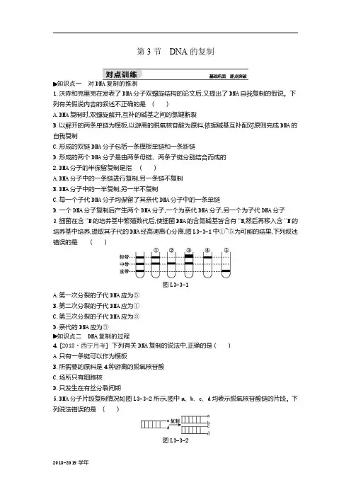 2018-2019学年人教版必修2 第3章第3节DNA的复制 作业