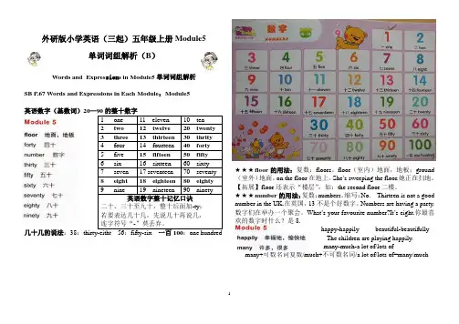 外研版小学英语(三起)五年级上册Module5单词词组解析(B)