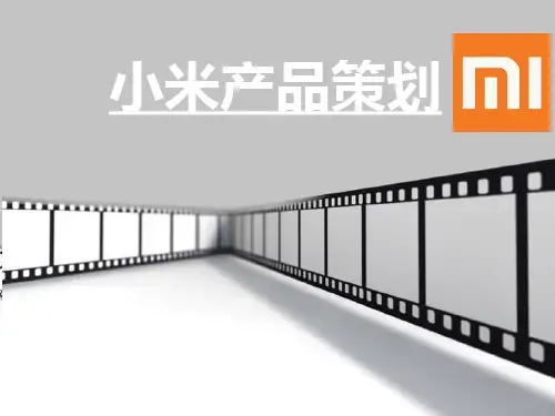 小米产品策划