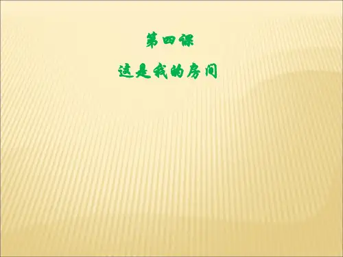 对外汉语初级词汇教学PPT