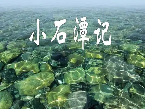 《小石潭记》(新课标人教版八年级语文下册张建勋)