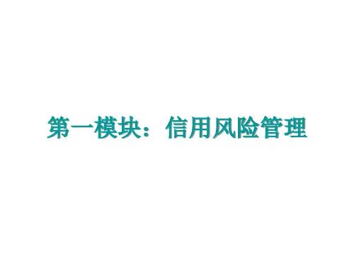 应收账款与信用风险PPT课件