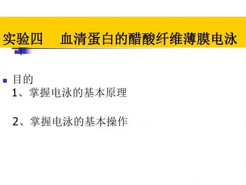 实验四 醋酸纤维薄膜电泳分离血清蛋白