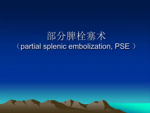 脾栓塞术