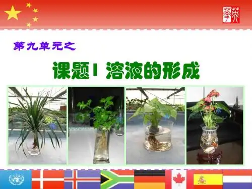 九年级化学溶液的形成ppt