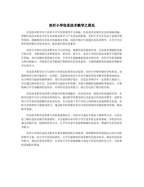 农村小学信息技术教学之我见