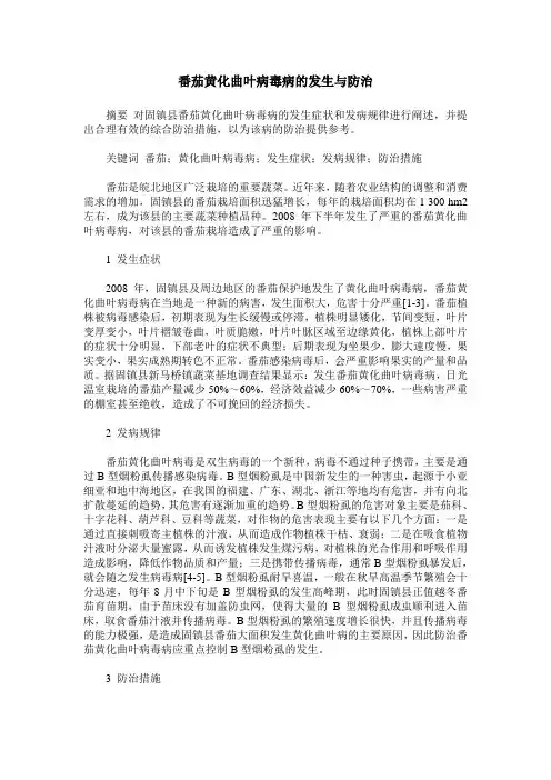 番茄黄化曲叶病毒病的发生与防治