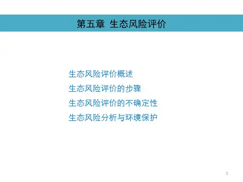 5生态风险评价(4学时)