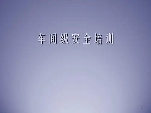 车间级安全培训课件