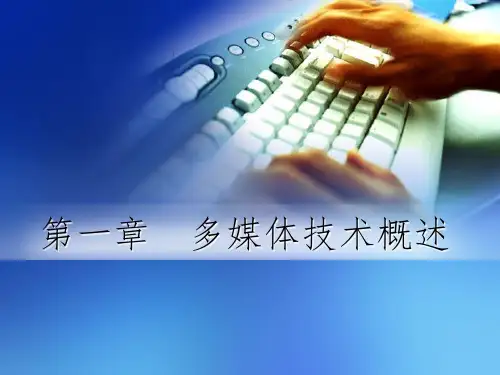 多媒体技术概论PPT课件