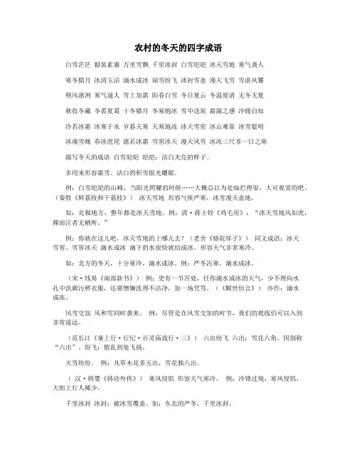农村的冬天的四字成语