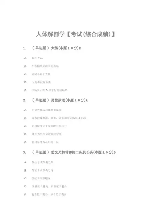 人体解剖学