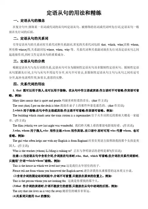 中考英语定语从句精讲精练