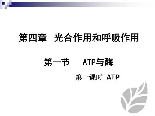 苏教版必修一ATP和酶课件(53张)