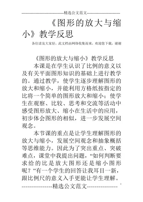 《图形的放大与缩小》教学反思