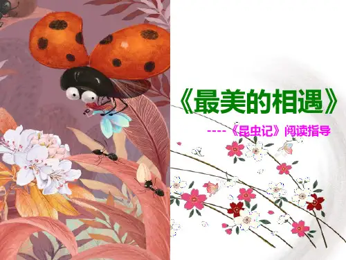 人教版八年级上册语文第五单元名著导读《《昆虫记》:科普作品的阅读》课件