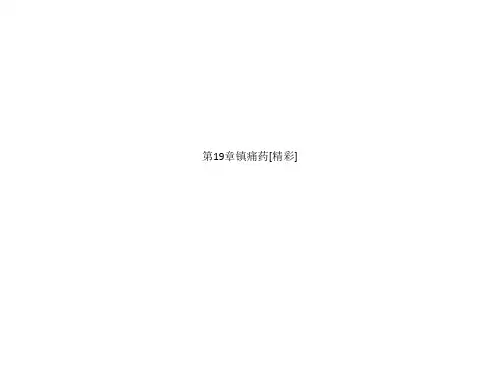 第19章镇痛药[精彩]